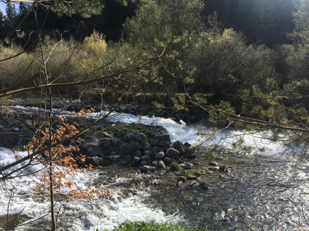 Riverside Habovka Dış mekan fotoğraf