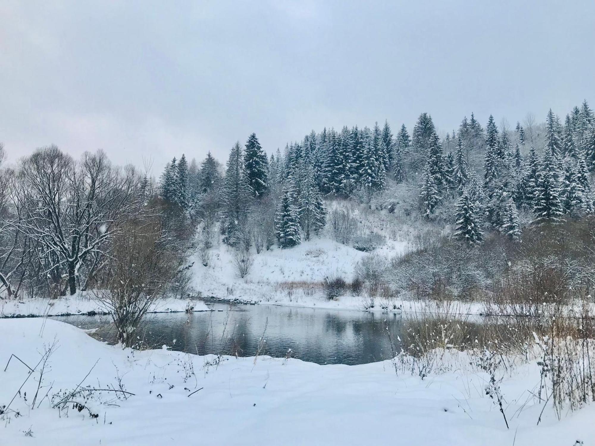Riverside Habovka Dış mekan fotoğraf