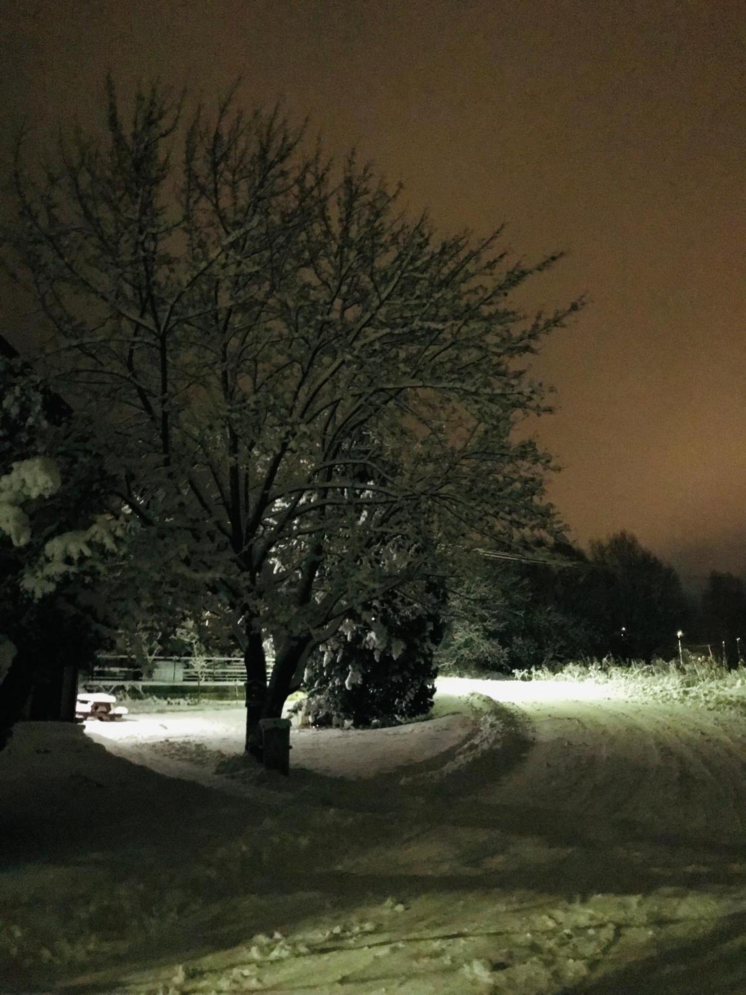 Riverside Habovka Dış mekan fotoğraf